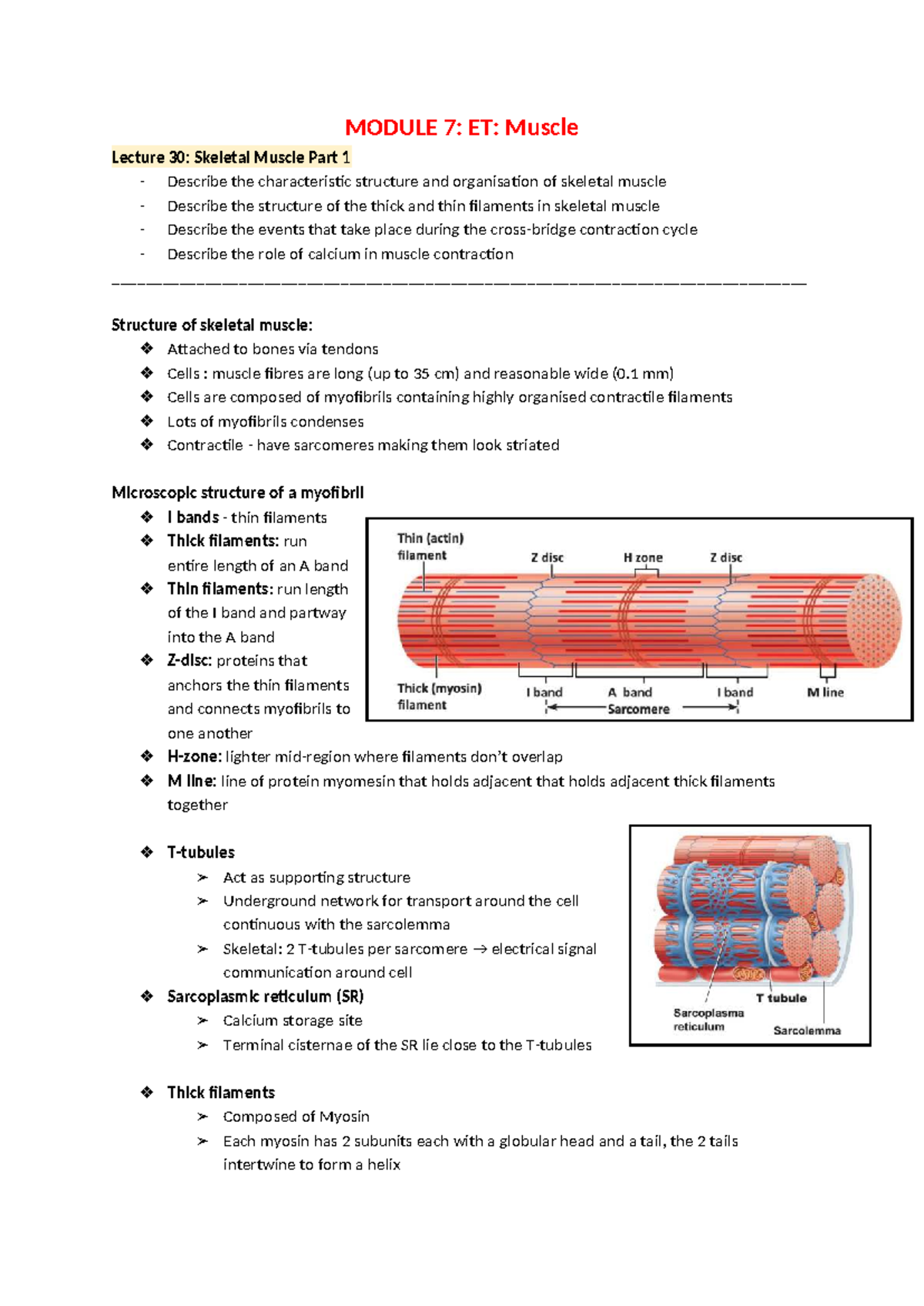 Module 7: ET - Muscle Lecture Summary for Biomedical Science - Studocu