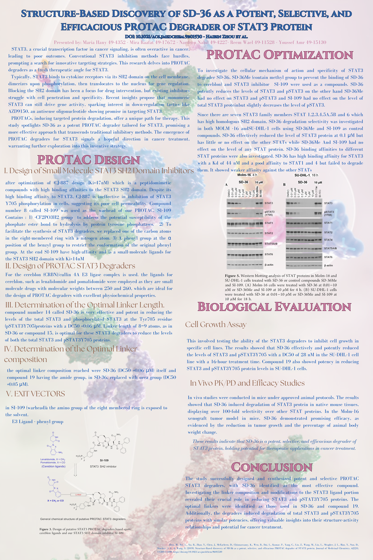 PROTAC Research: SD-36 as a Selective Degrader for STAT3 (49-4352 ...