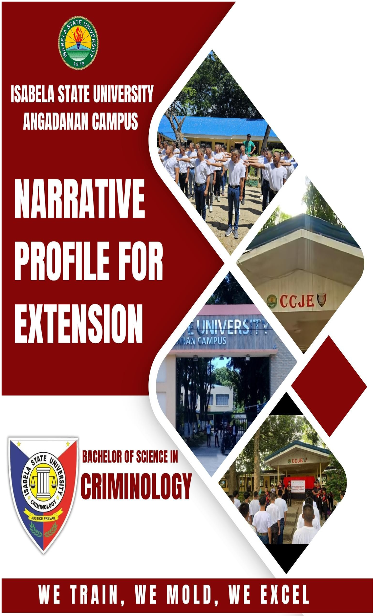 Narrative Profile New - Purposive Communication subject - Narrative ...