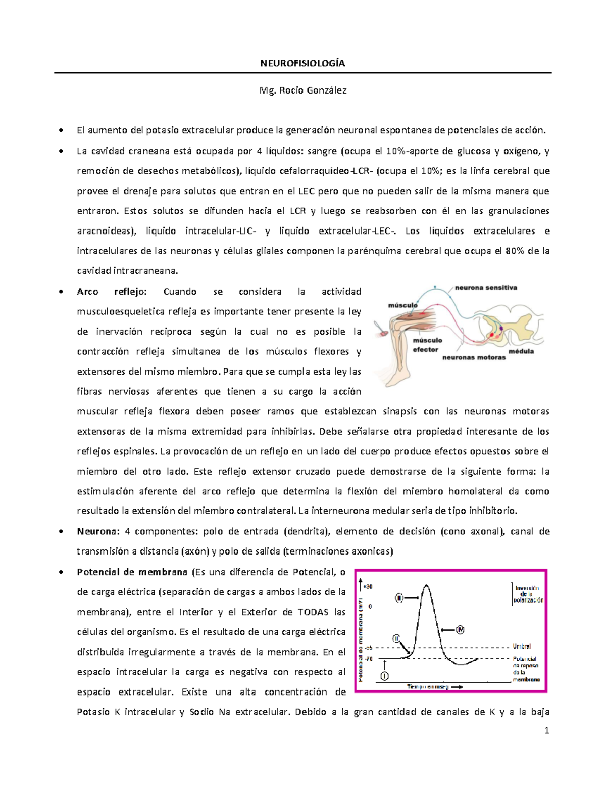Neurofisiología: Resumen Completo de Potenciales de Acción y Sinapsis ...