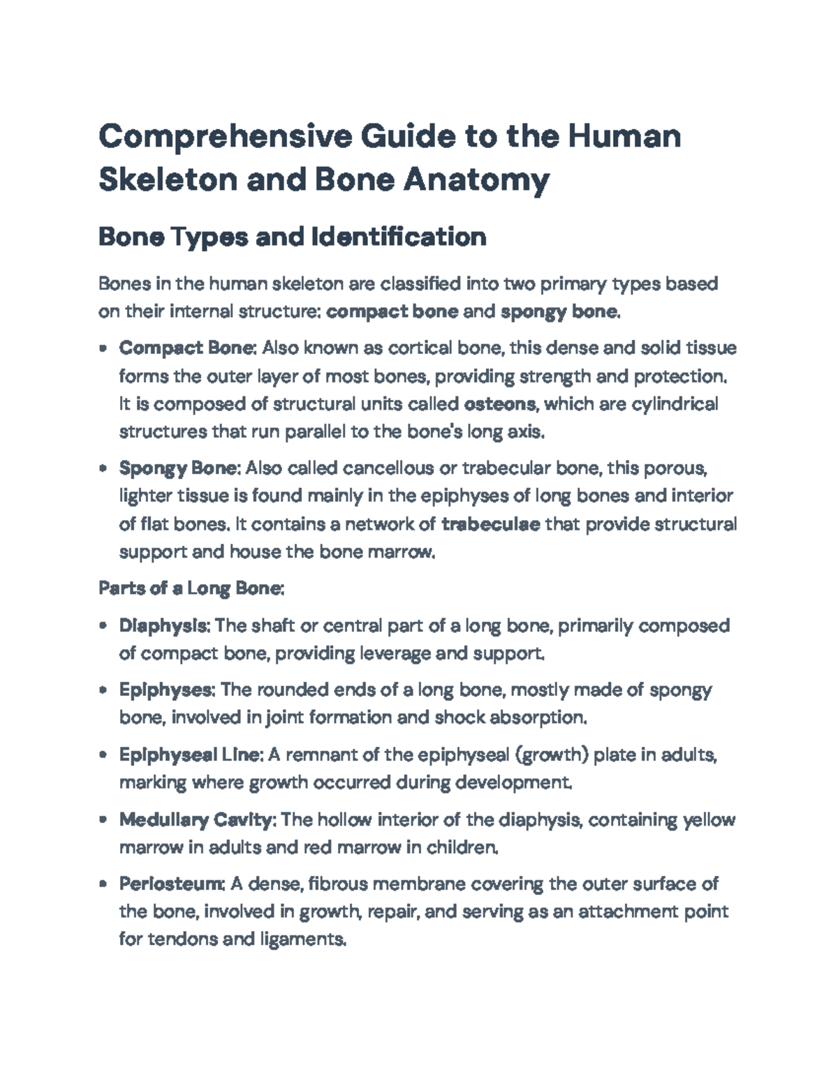 Comprehensive Overview of Human Skeleton & Bone Anatomy (BIO 101) - Studocu