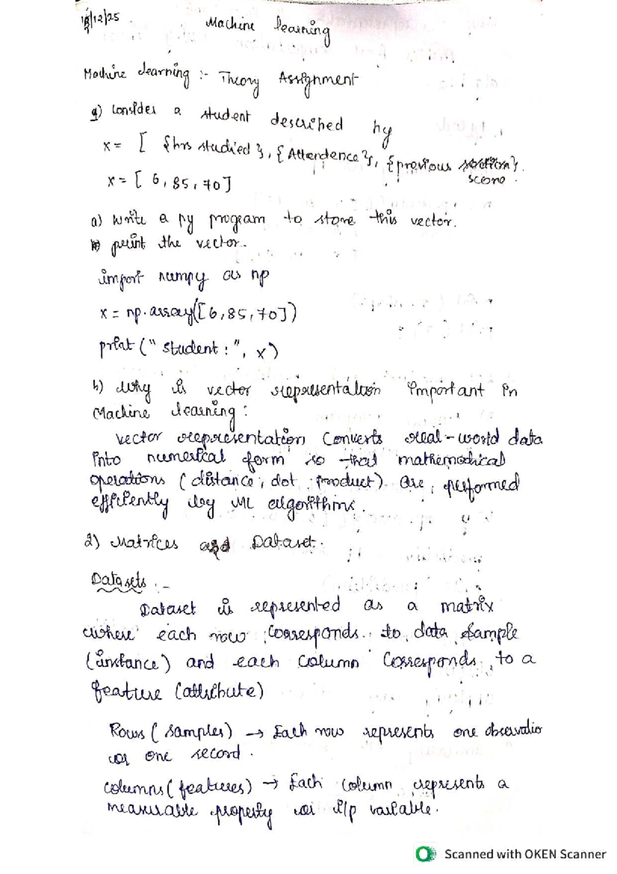 Machine Learning Theory Assignment 1: Vector Representation ...