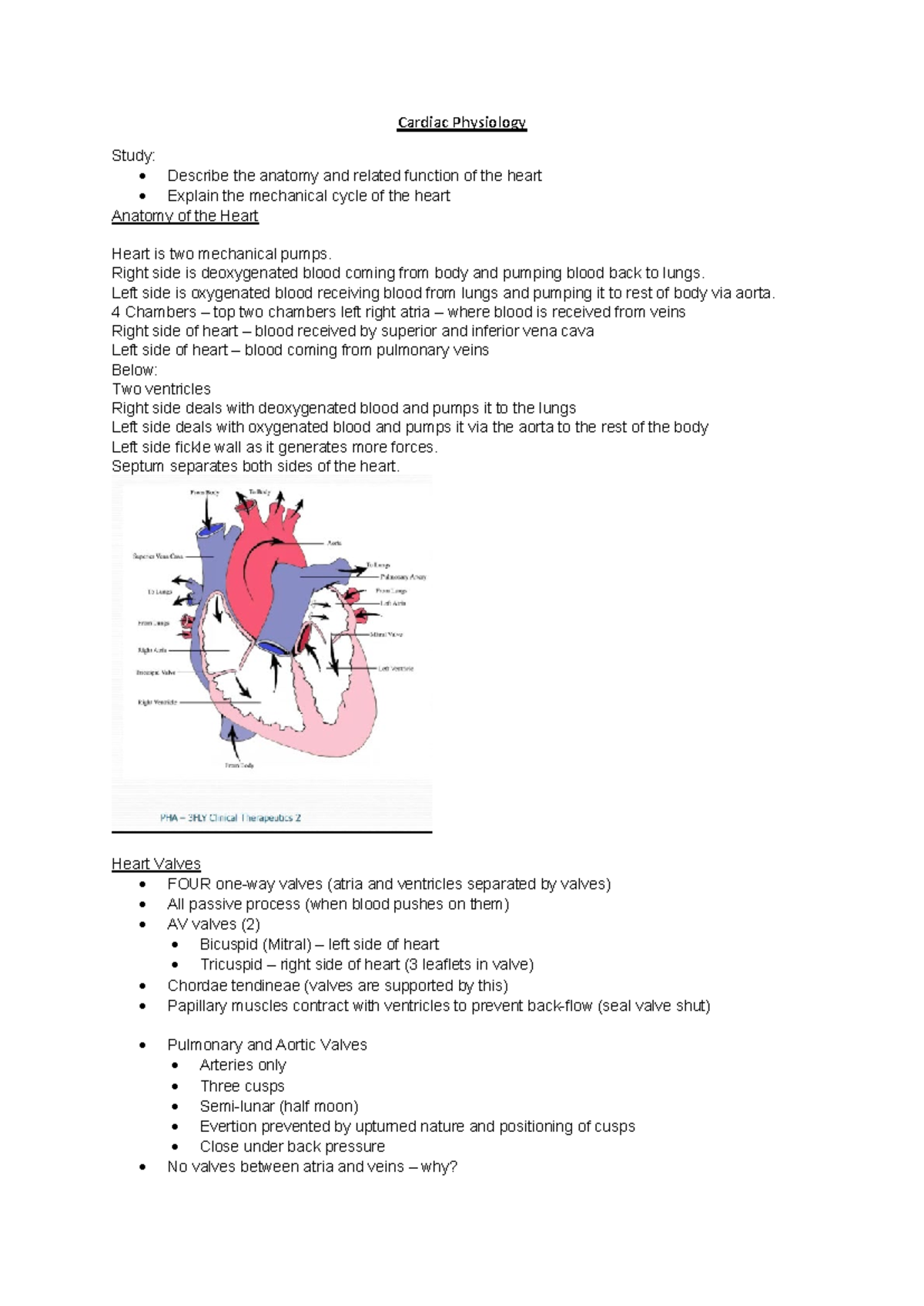 Cardiovascular System FULL course - Cardiac Physiology Study ...