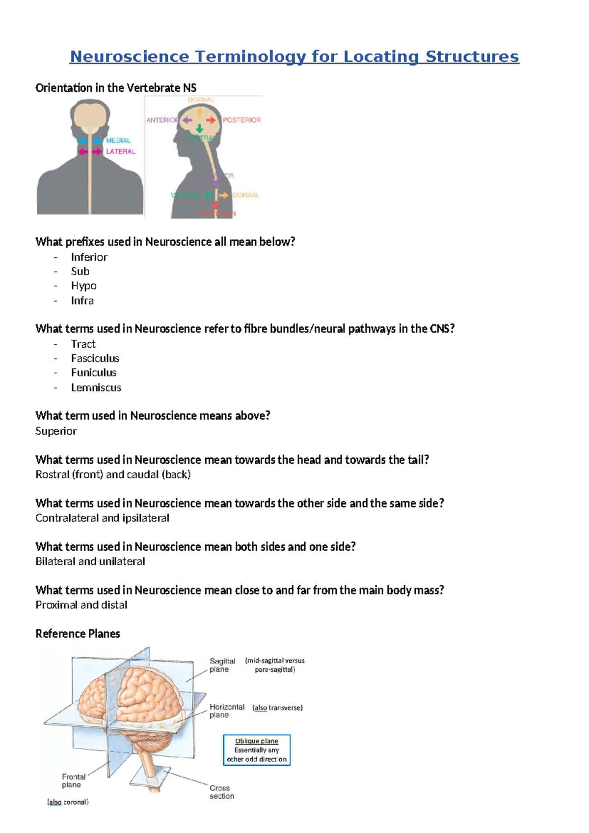 Quiz 1 Lecture and Tutorial Notes - Neuroscience Terminology for ...