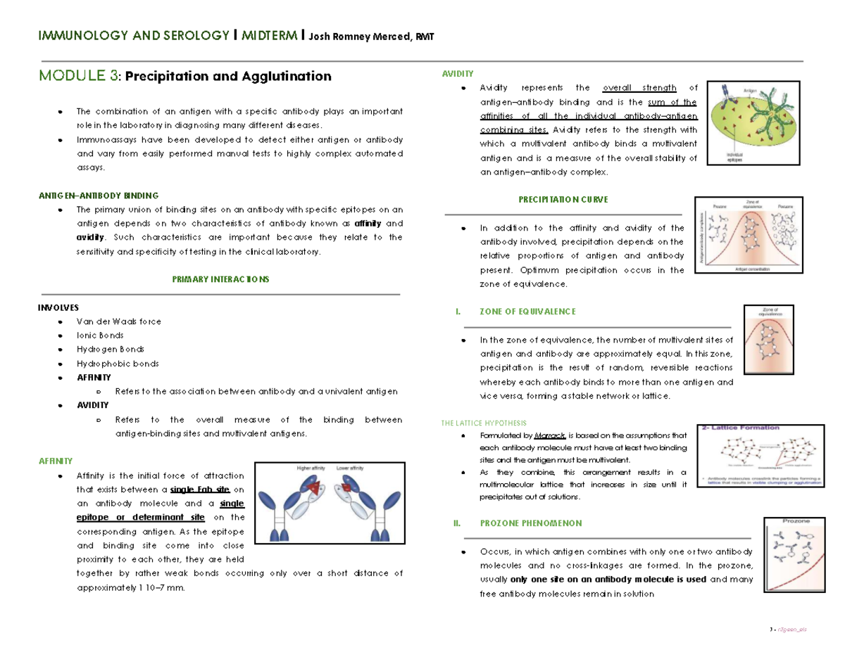 IMMUNOLOGY AND SEROLOGY I MIDTERM I: Precipitation and Agglutination ...