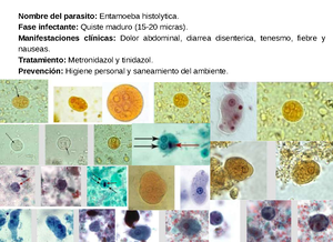 Resumen de todos los temas de microobiologia y parasitologia - RESUMEN ...