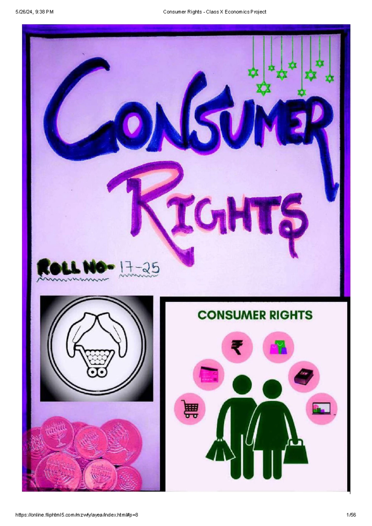 Consumer Rights: Class X Economics Project Overview - Studocu