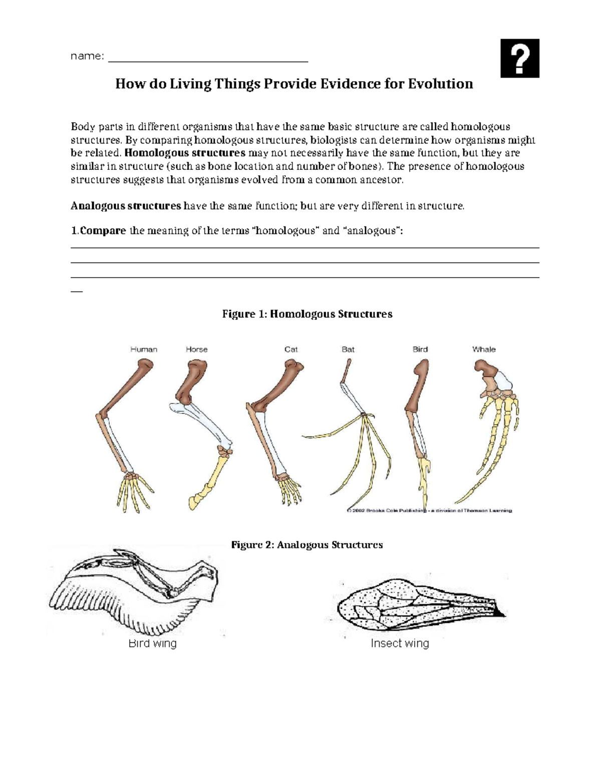 Lab on Homologous, Analogous \u0026 Vestigial Structures (ADV) - Studocu, image size:1200x1553