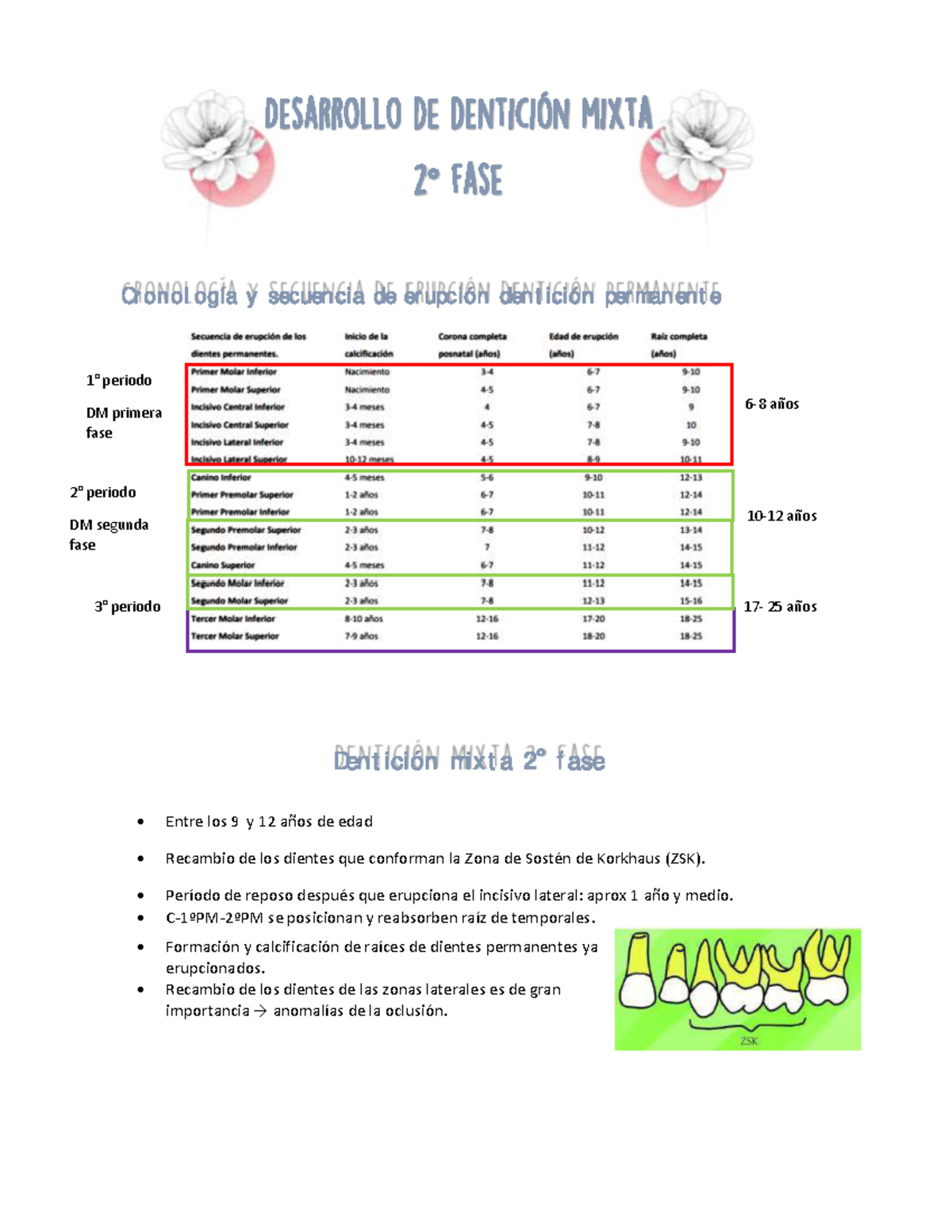 Desarrollo de la Dentición Mixta: Clase 7 (Fase 2) y Análisis Eruptivo ...