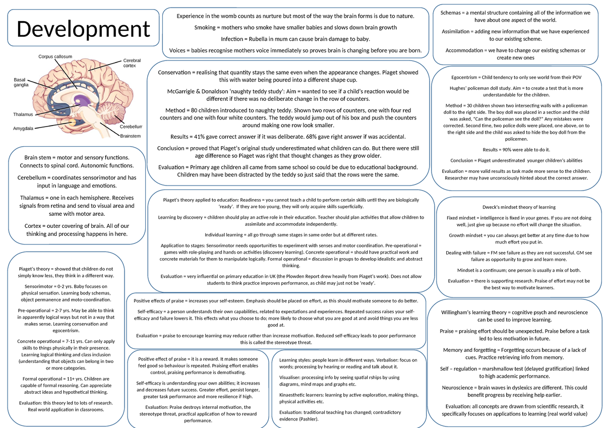 Development Mind Map: Nature vs. Nurture in Child Growth and Learning ...