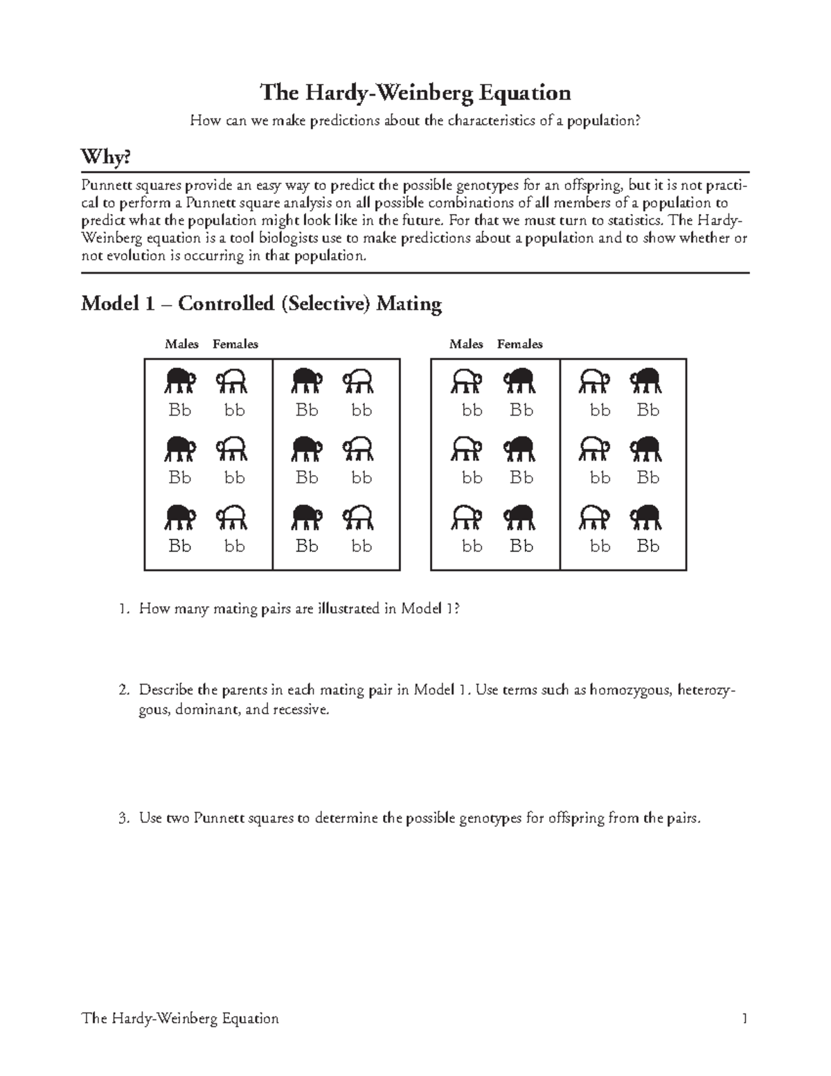 Conquer Hardy Weinberg: The Ultimate Pogil Solution - za6qgmr