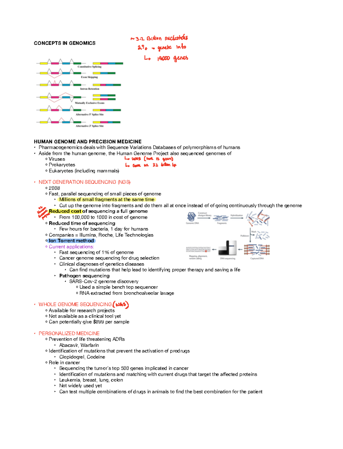 Genomics Study Guide (GEN-101) - Concepts, Sequencing, and Medicine ...