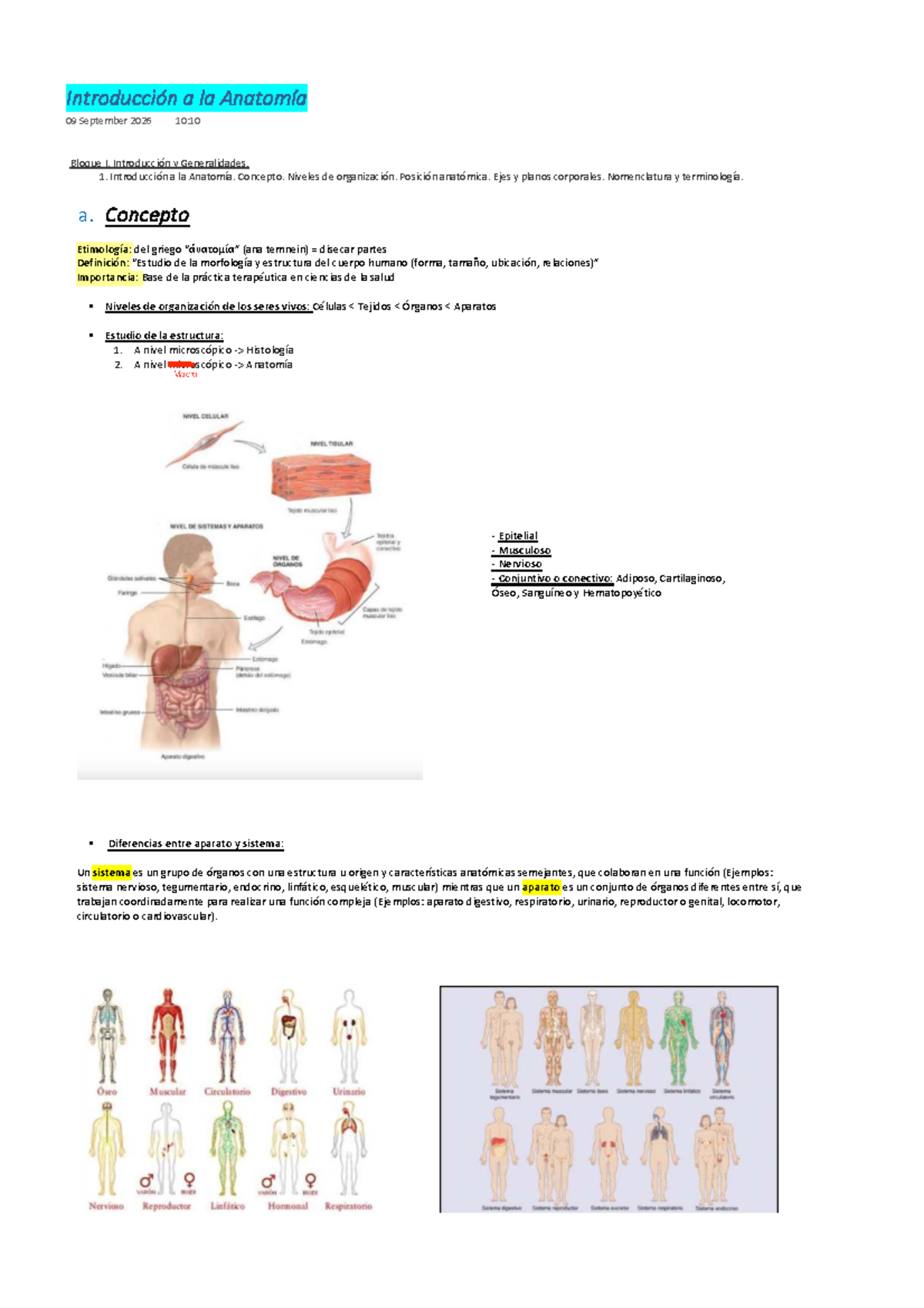 Introducción a la Anatomía: Conceptos y Terminología - Studocu
