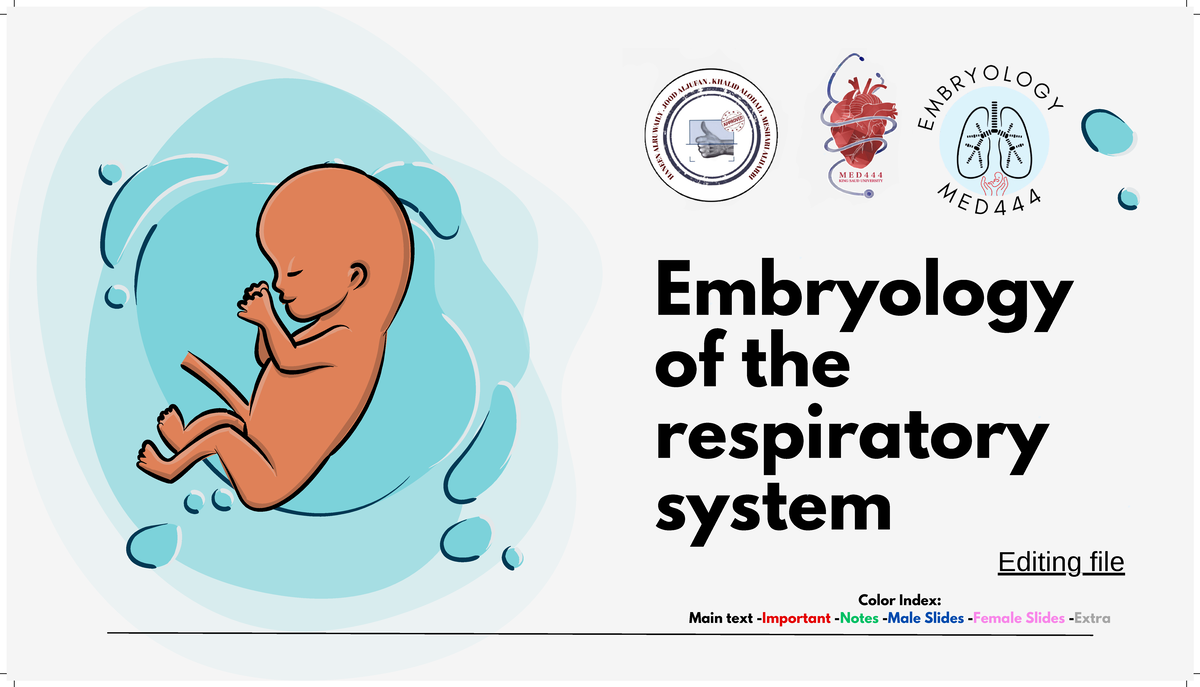 Embryology of the Respiratory System (Course Code: EMB 101) - Studocu