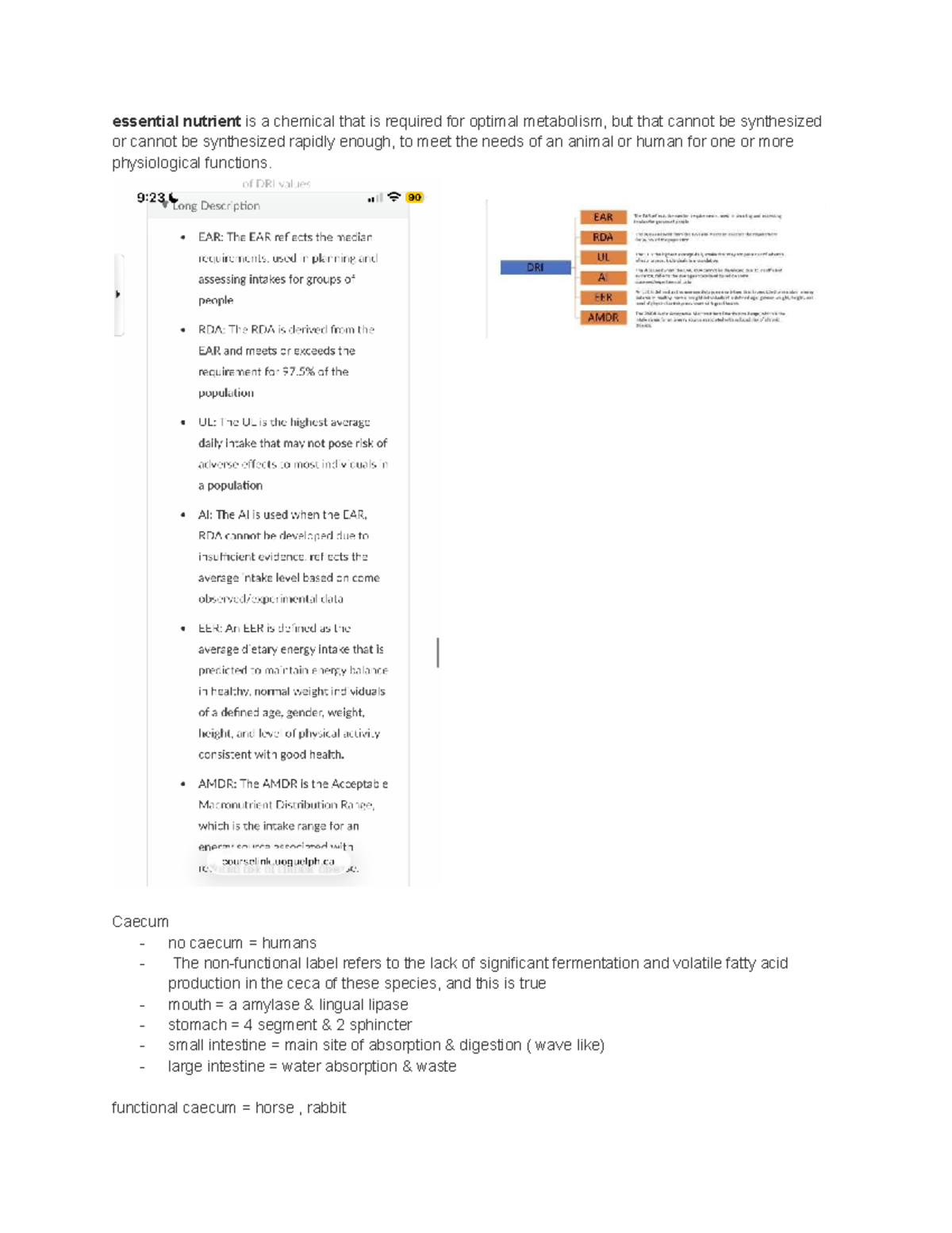 NUTR Quiz 2: Essential Nutrients and Digestive Processes Notes - Studocu