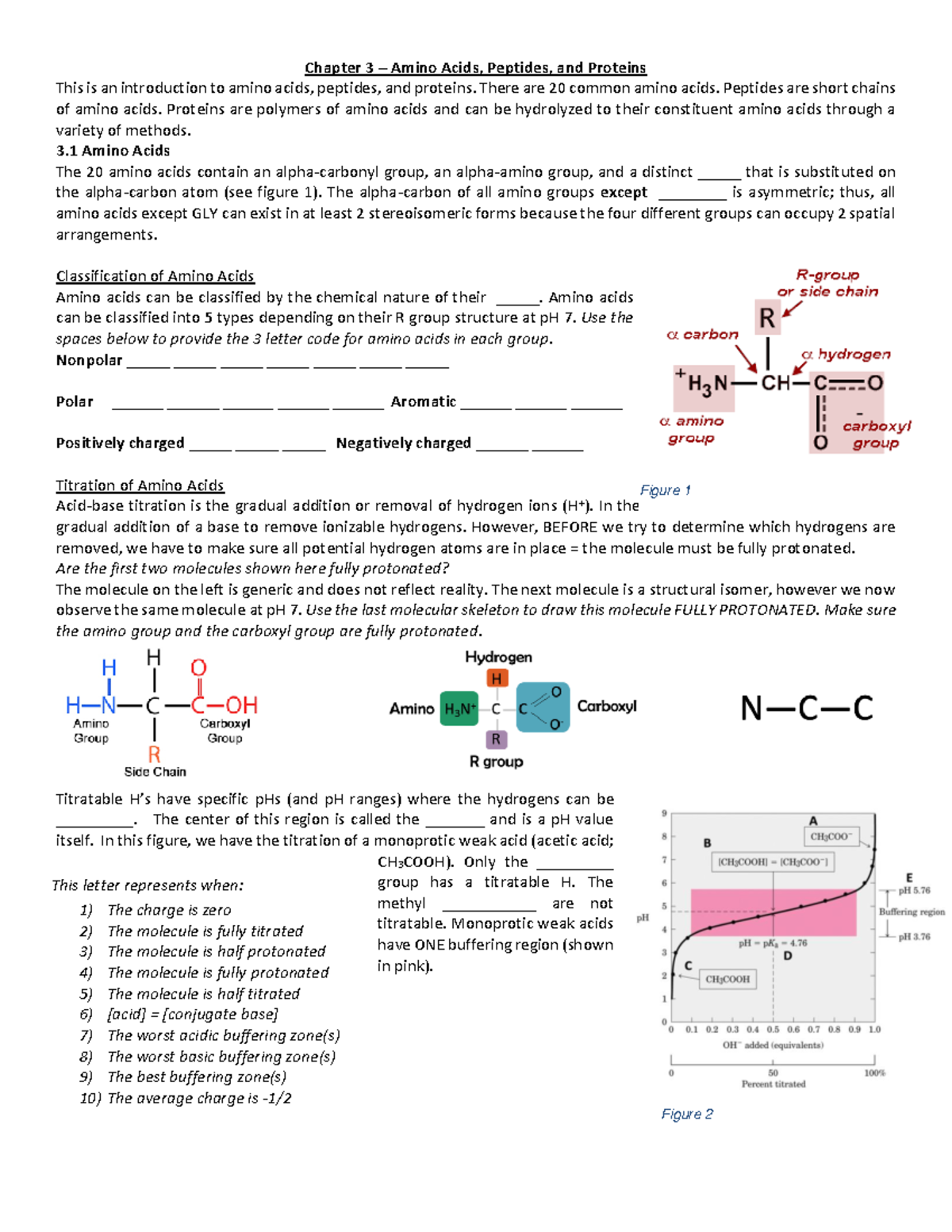 Chapter+3+Amino+Acids+and+Proteins - Chapter 3 – Amino Acids, Peptides ...