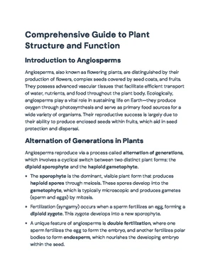 Plant Anatomy - Study Notes & Assignments - Studocu