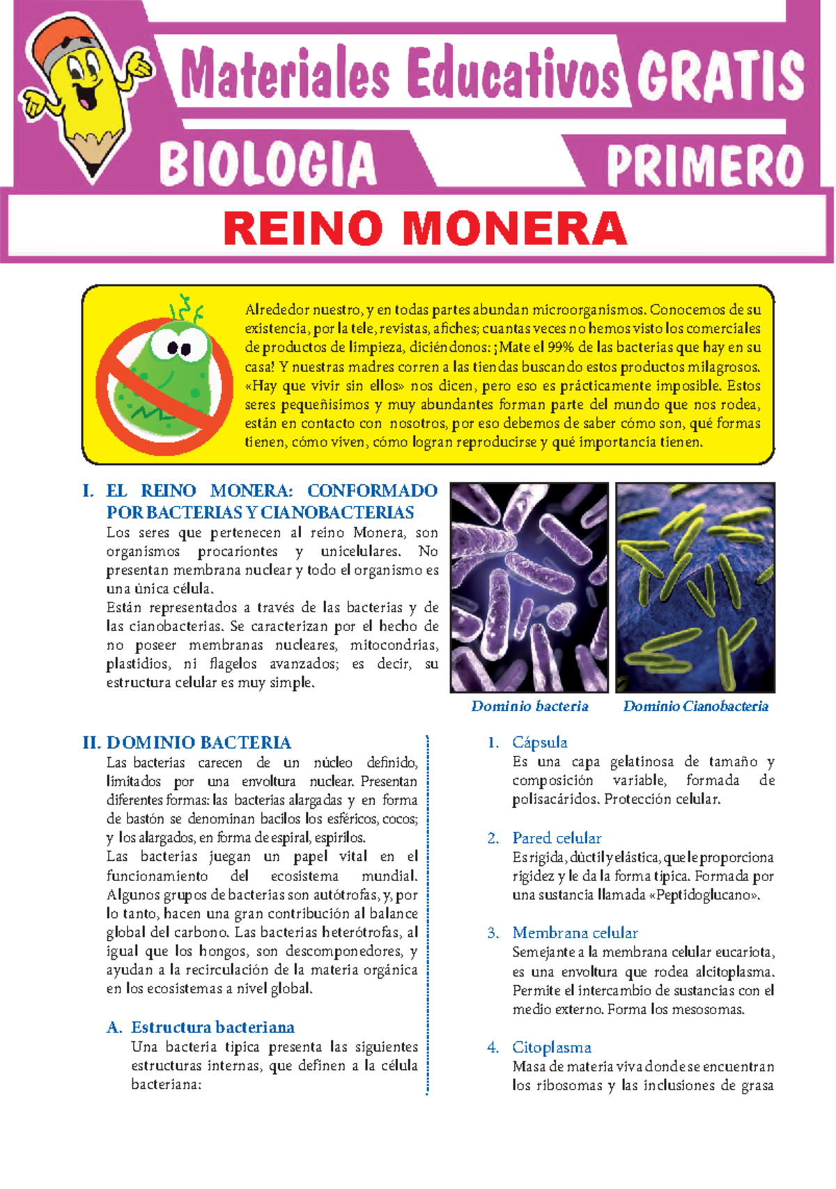 Reino Monera: Microorganismos y Bacterias para 1° Secundaria - Studocu