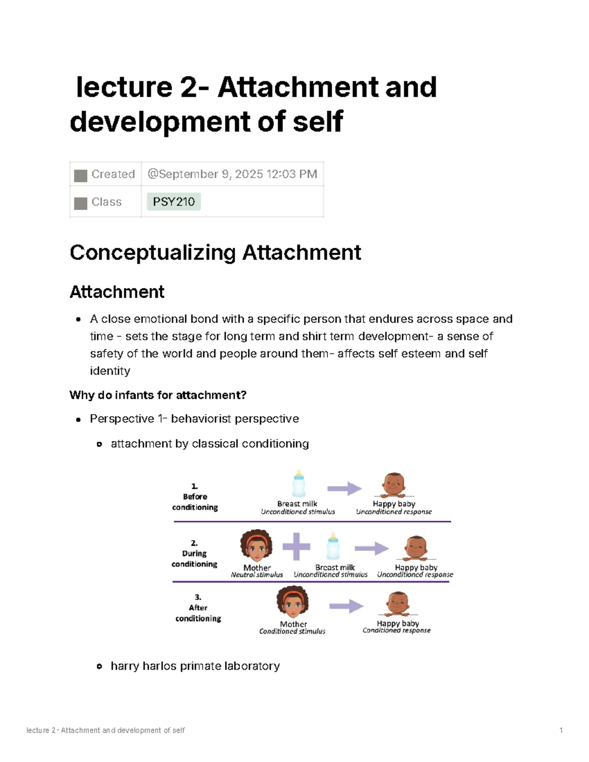 Lecture PSY210: Attachment and Development of Self Insights - Studocu