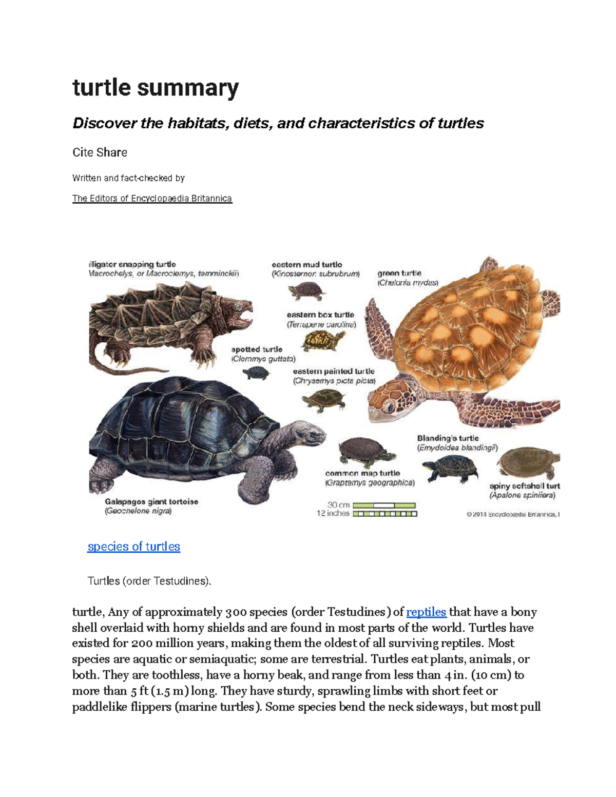 Turtles - turtle summary Discover the habitats, diets, and ...