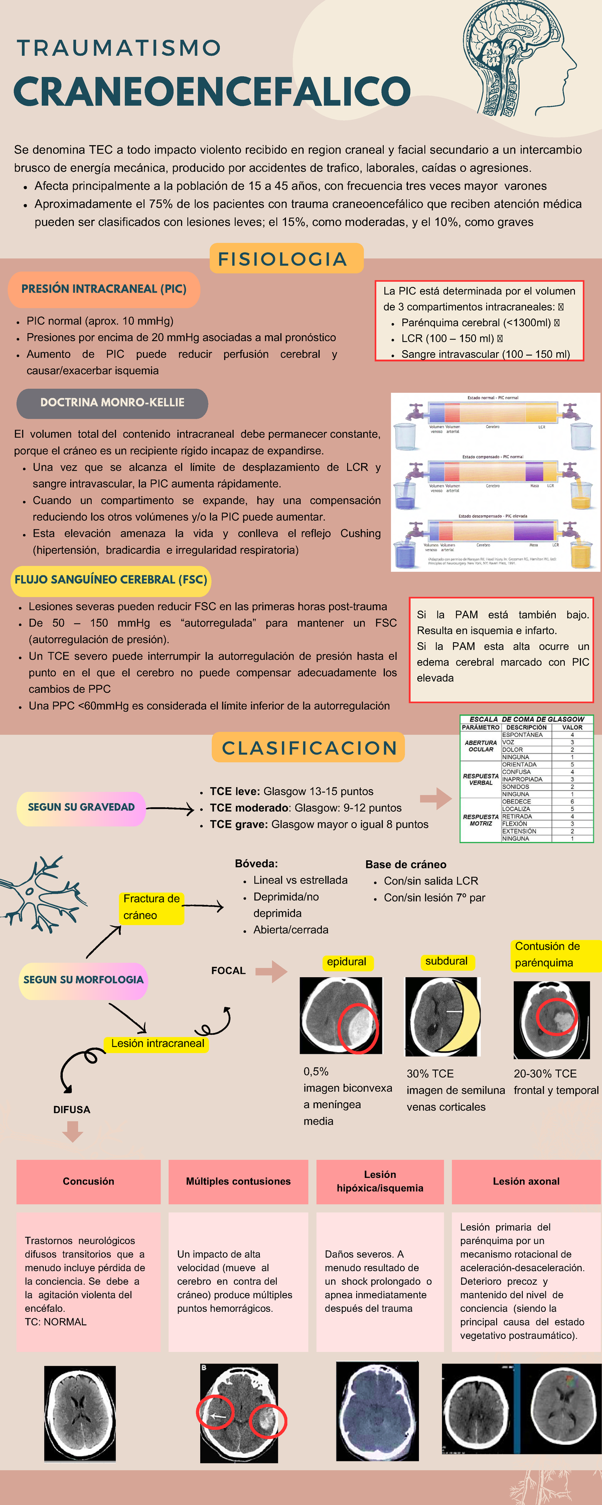 infograf-a-de-tec-introducci-n-al-trauma-craneencef-lico-studocu