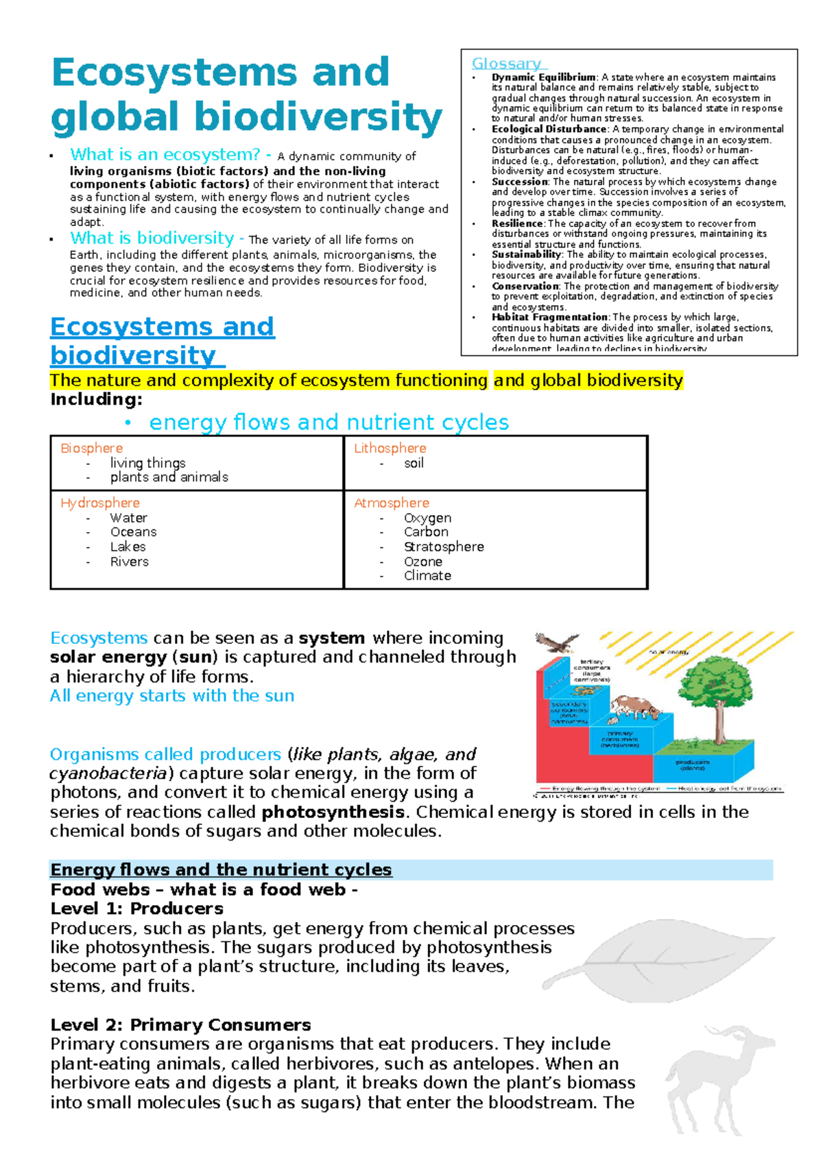 Ecosystems & Global Biodiversity: Key Concepts & Glossary - Studocu