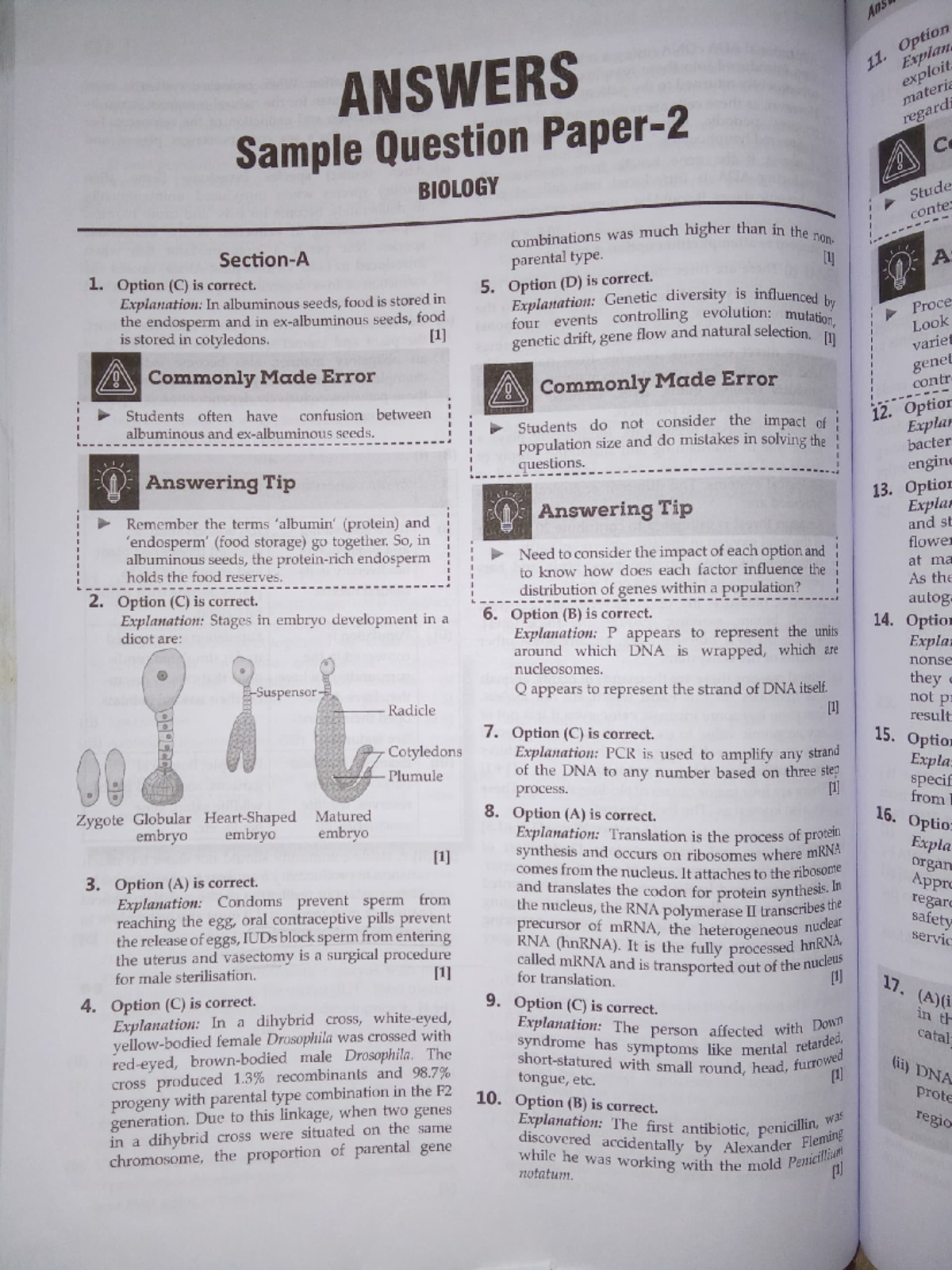 Solution sample paper 2nd - ANSWERS Sample Question Paper- Section-A 1 ...