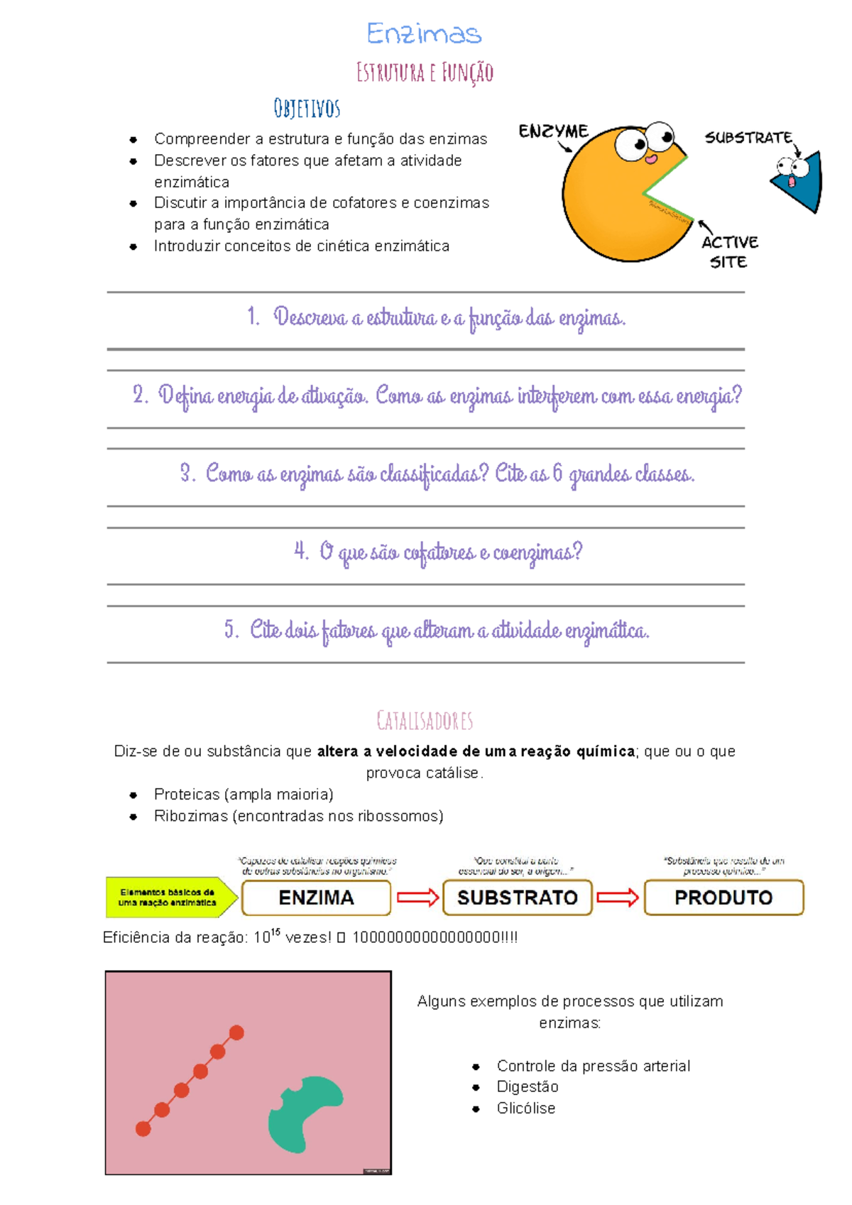 Reino Monera: Características e Especializações das Bactérias - Studocu