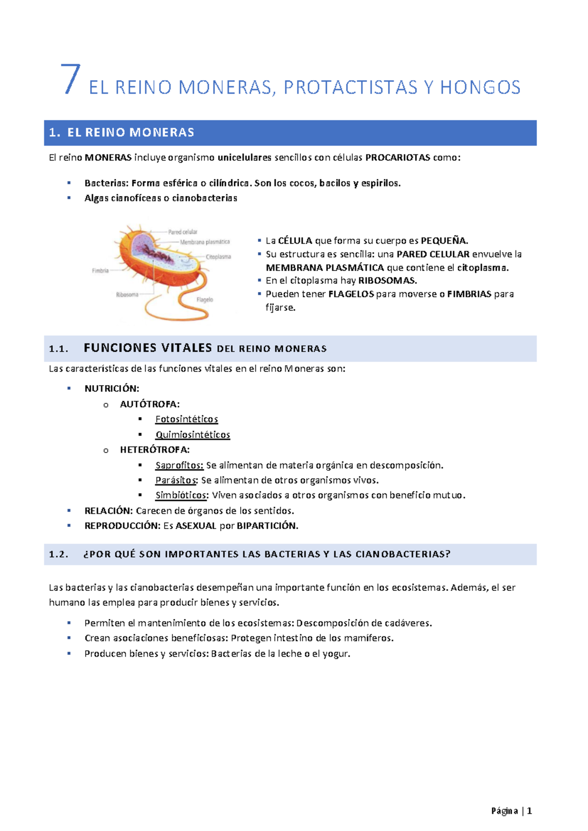 Resumen del TEMA 7: Reinos Moneras, Protoctistas y Hongos - Studocu