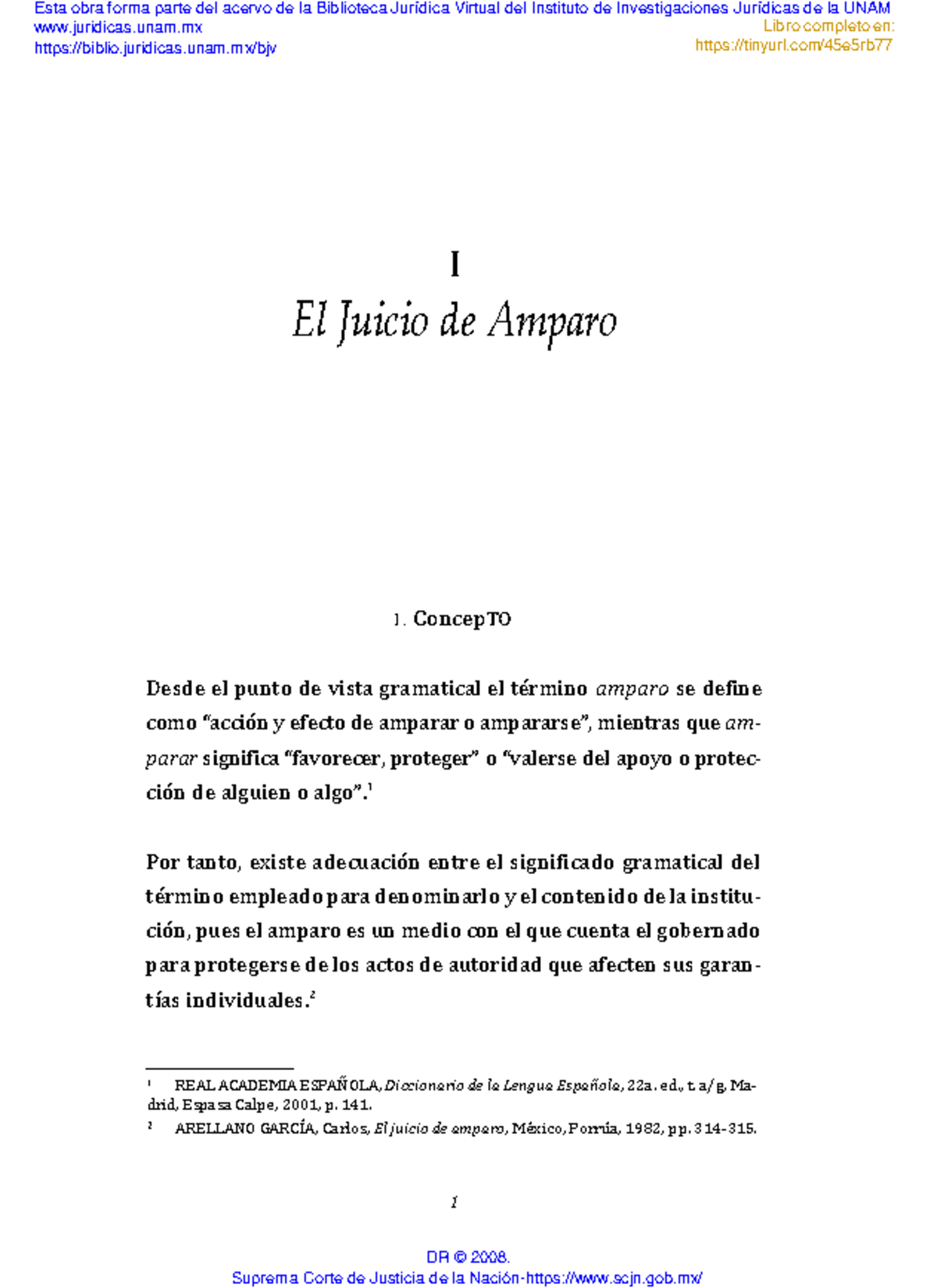 Principios constitucionales en el Juicio de Amparo - Derecho ...
