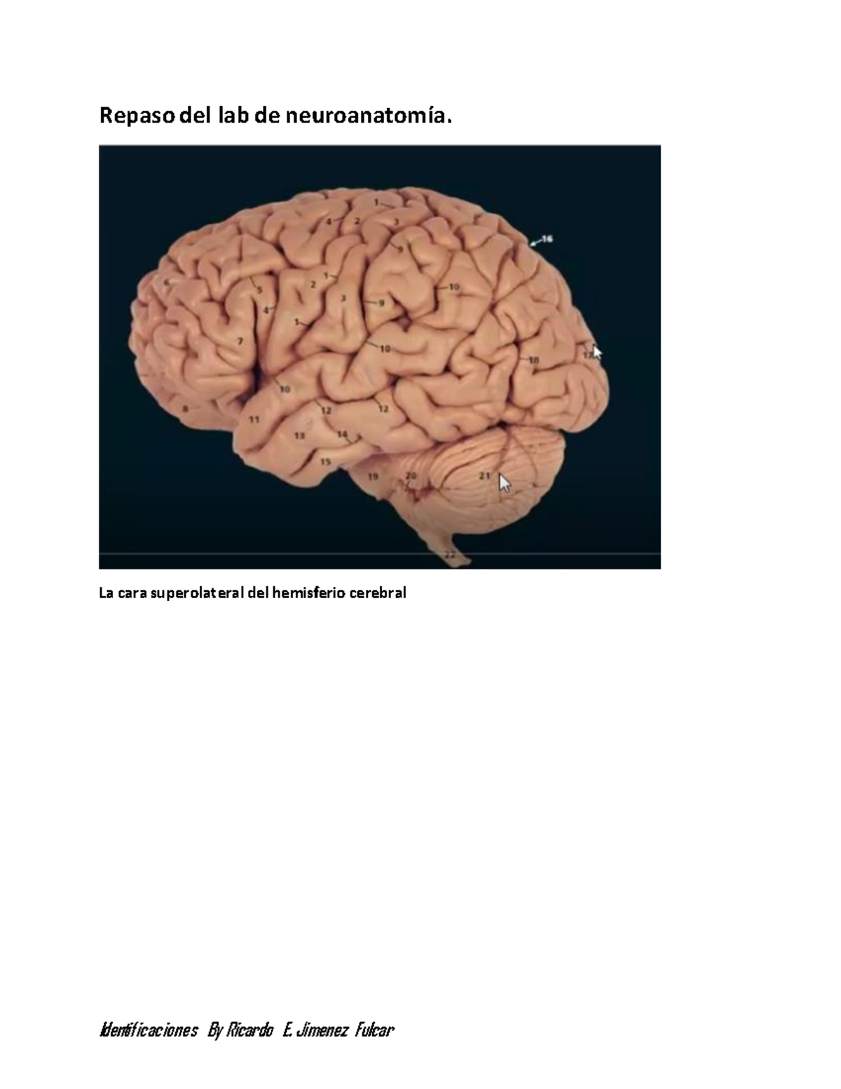 Untitled, image size:1200x1553