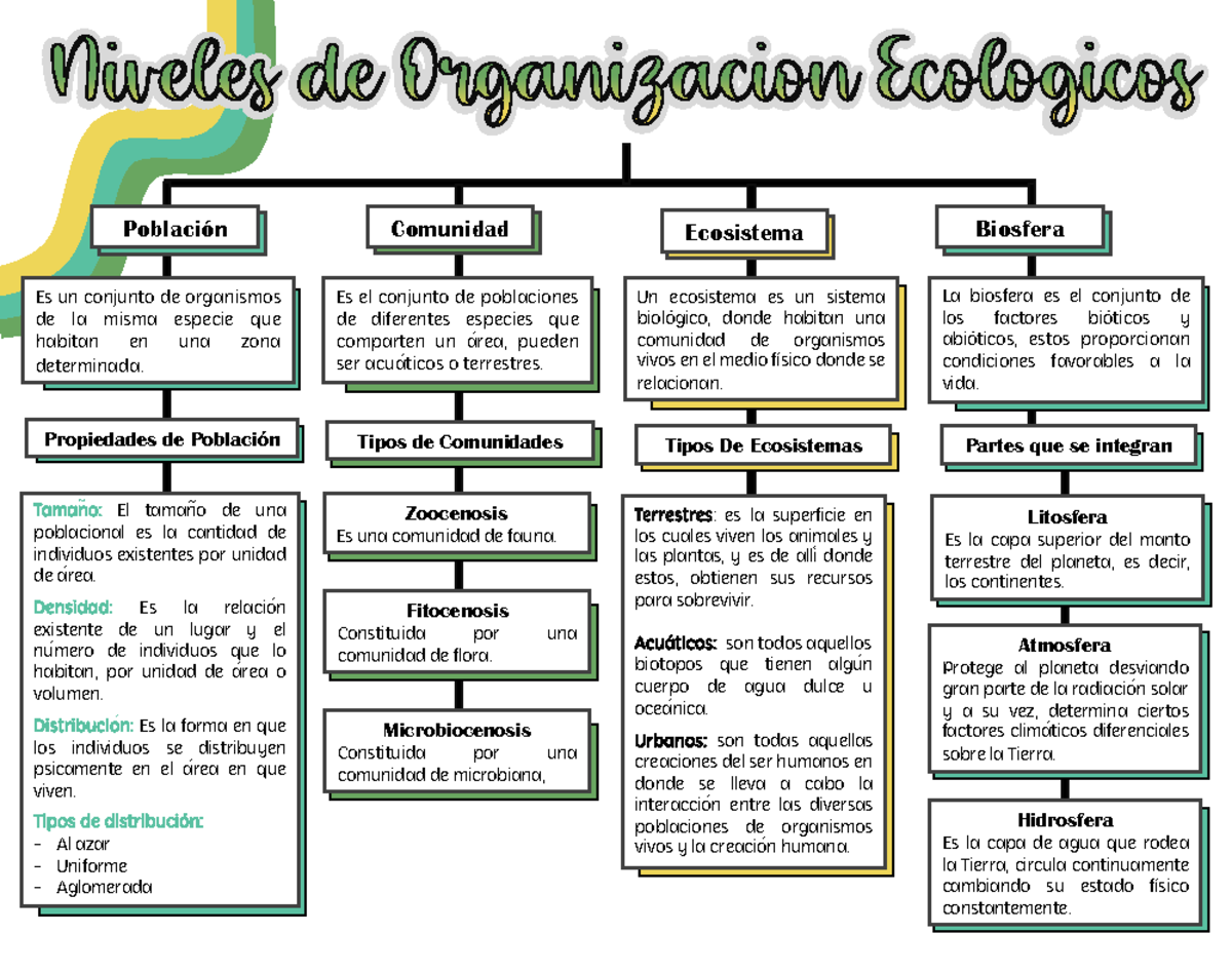 Mapa Conceptual de Ecología: Estructura y Funciones de Ecosistemas ...