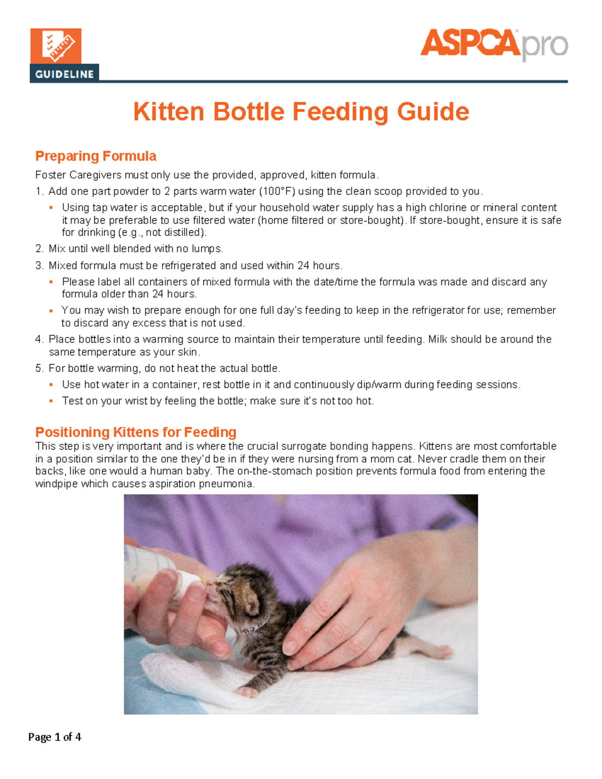 Kitten Bottle Feeding Guide: Formula Prep & Care Tips - Studocu