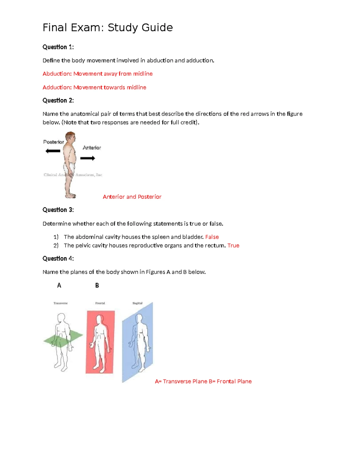 Module 5 - Final Exam Answer Key on Muscle Tissue and Actions - Studocu