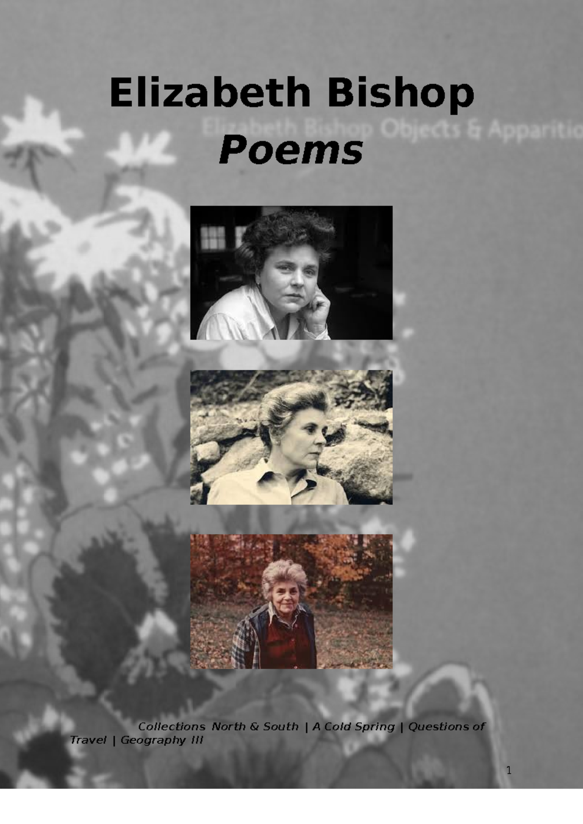 Elizabeth Bishop Poems: North & South, A Cold Spring Analysis - Studocu
