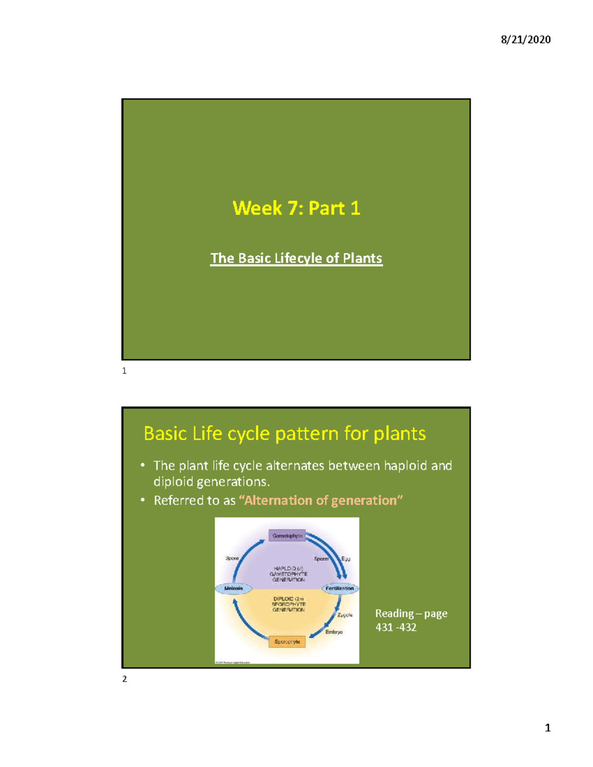Week 7: Basic Plant Life Cycle & Flower Structure Overview - Studocu