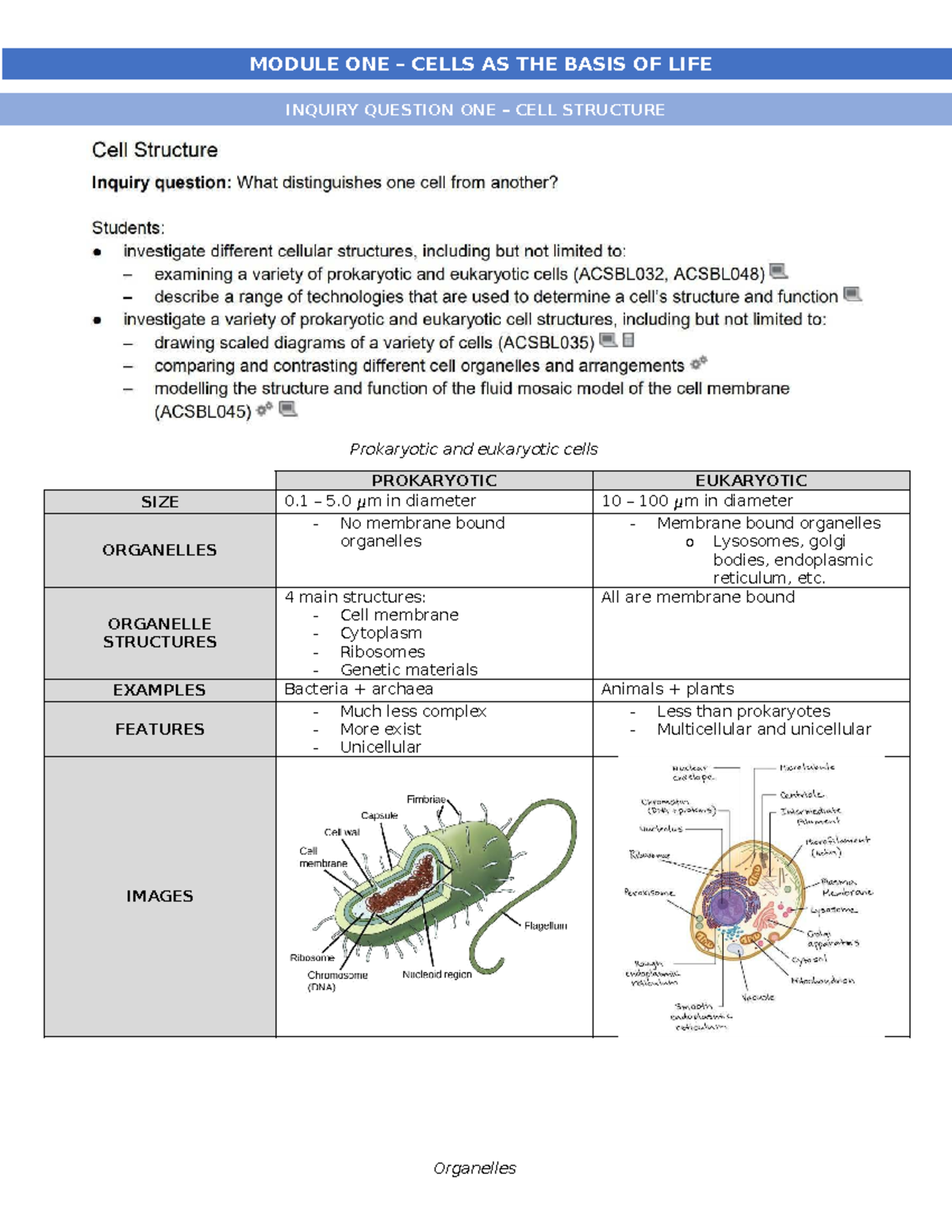 Biology 101: Module 1 - Cells as the Basis of Life Notes - Studocu