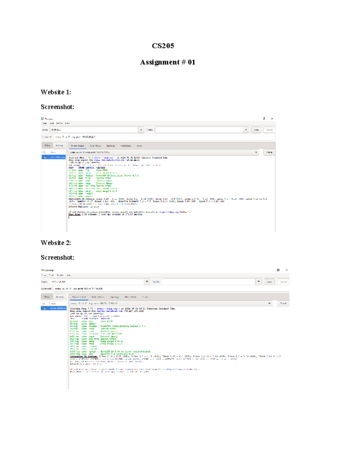 CS205 - Information Security - CS Assignment # 01 Website 1: Screenshot ...