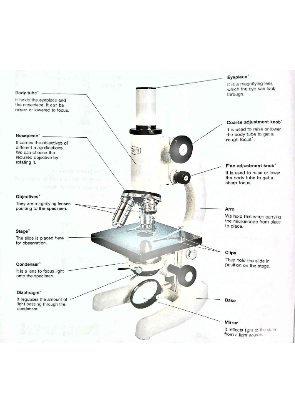 Structure Images - Biology 101: Microscope & Human Anatomy - Studeersnel