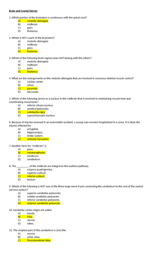 Review Sheet: Exercise 36 - Anatomy of the Respiratory System Lab - Studocu
