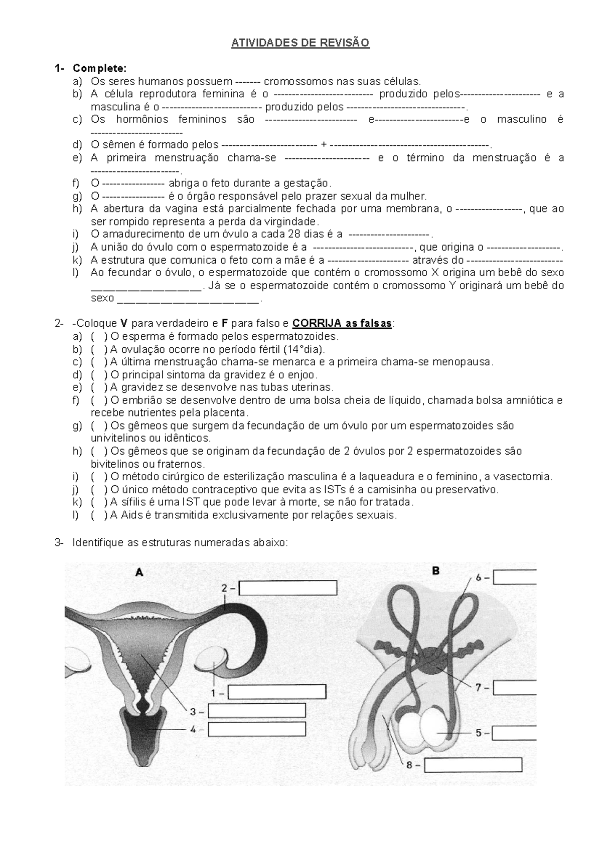 ATIVIDADES DE REVISÃO: Reprodução Humana - 8º ANO - Studocu
