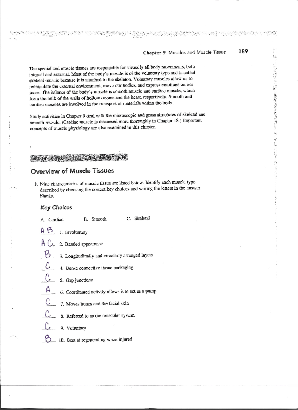 Bio 101 Final Exam Study Guide - Chapter 9: Muscle Tissue Overview ...