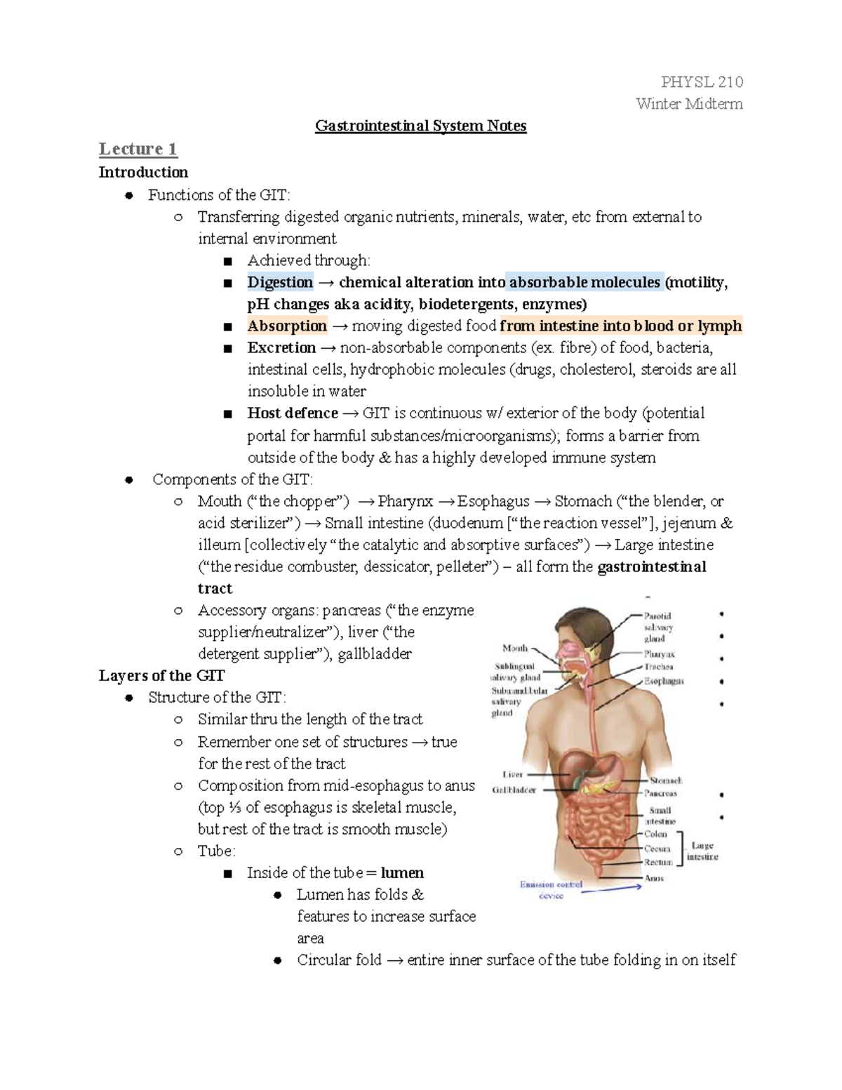 PHYSL 210 Winter Midterm Lecture 1: Gastrointestinal System Overview ...