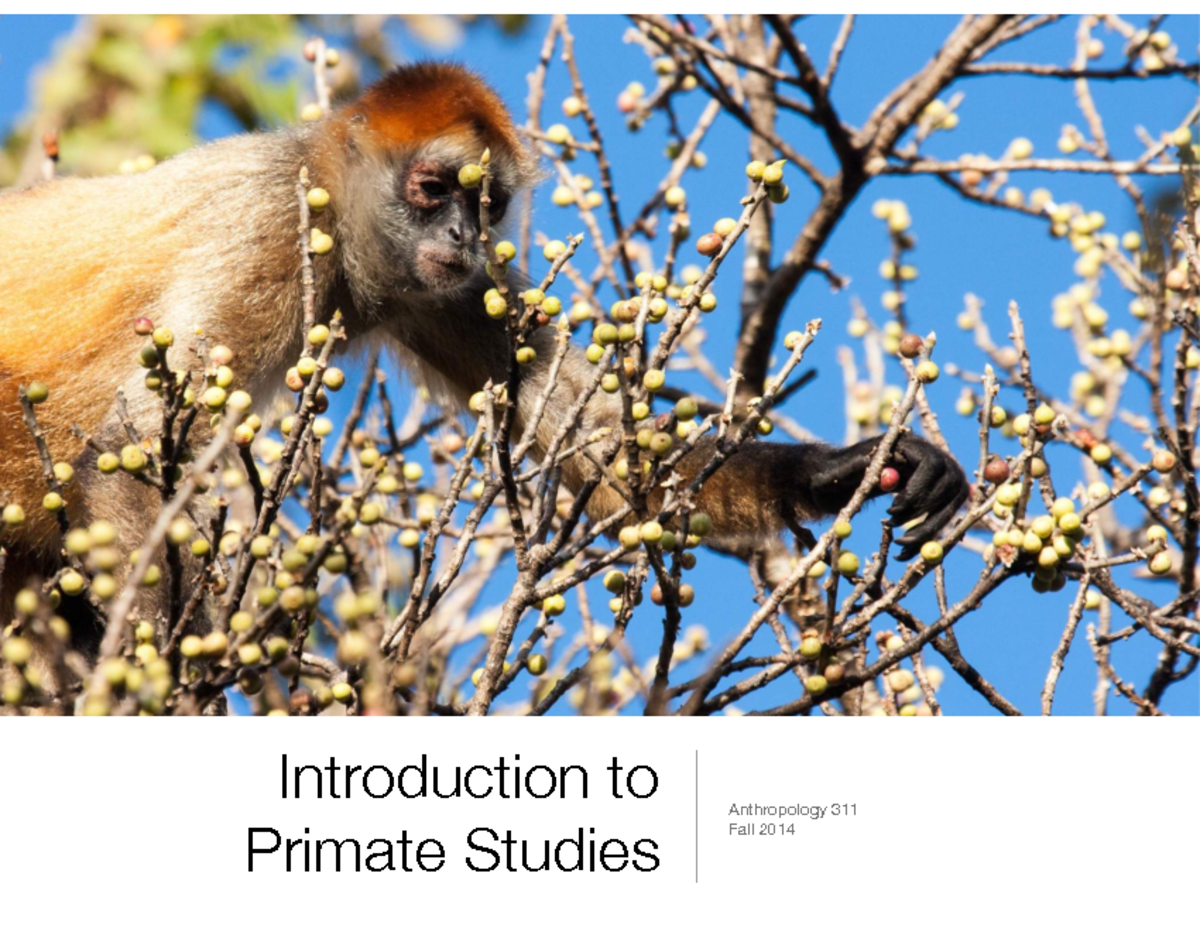 Introduction - Primates are interesting from perspective They are ...
