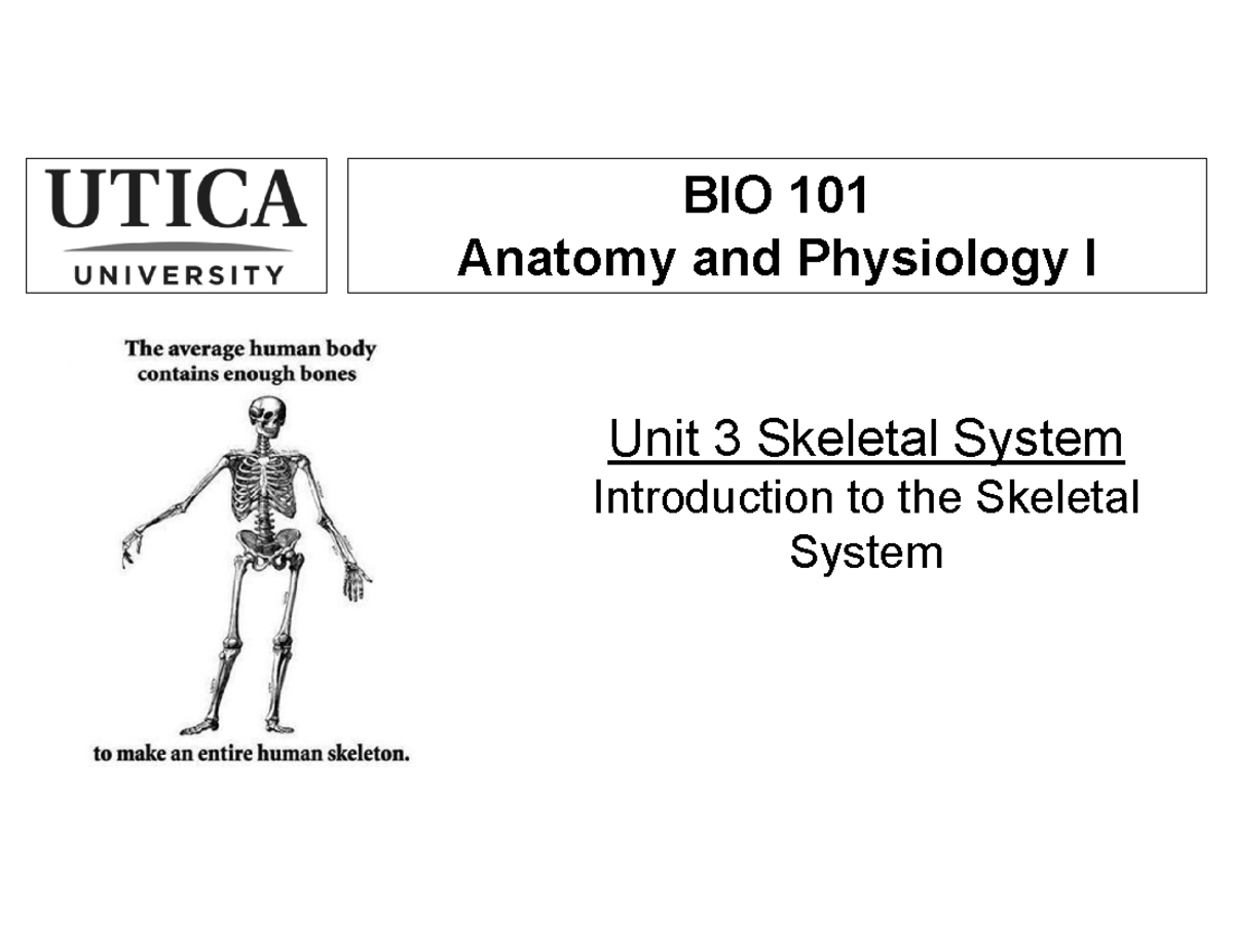 BIO 101 Unit 3 Lecture: Introduction to the Skeletal System - BIO 101 ...