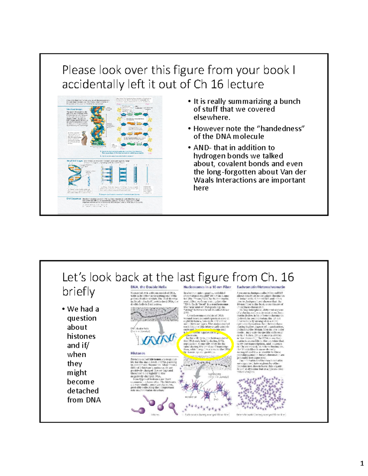 Ch 17 Lecture Notes: Gene Expression Overview - Studocu