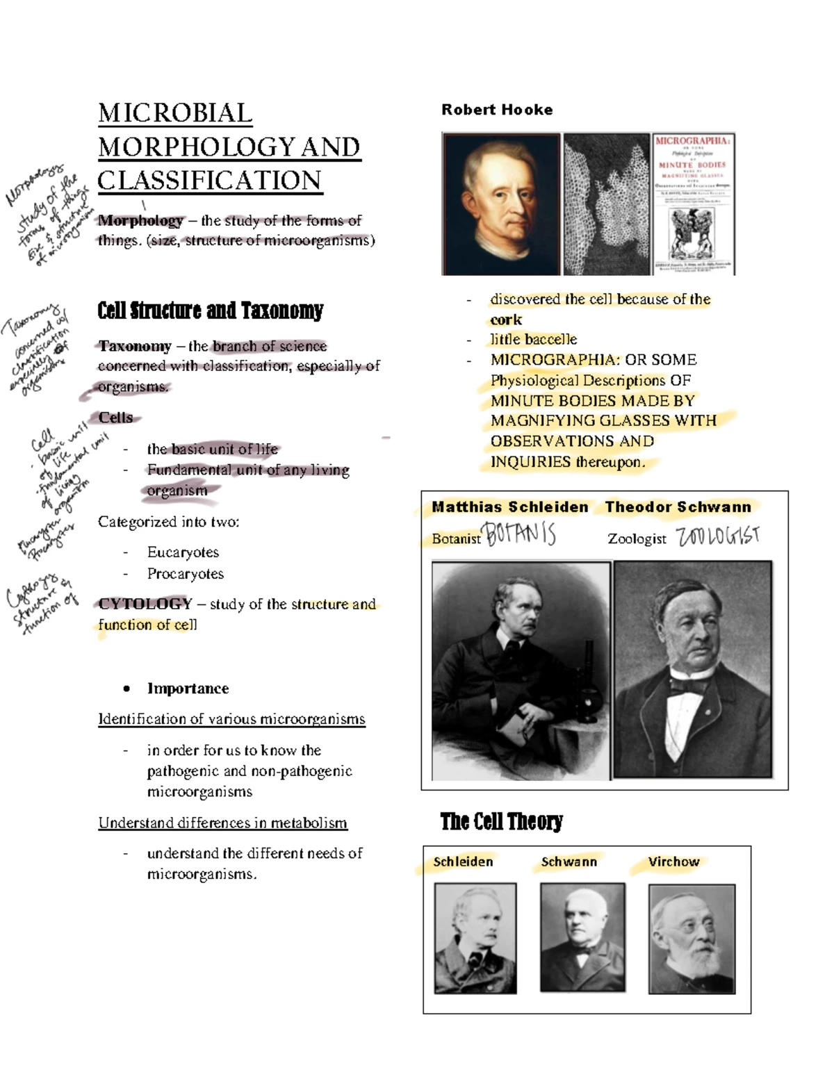 History of Cell Theory and Experiments Disproving Spontaneous Gen ...