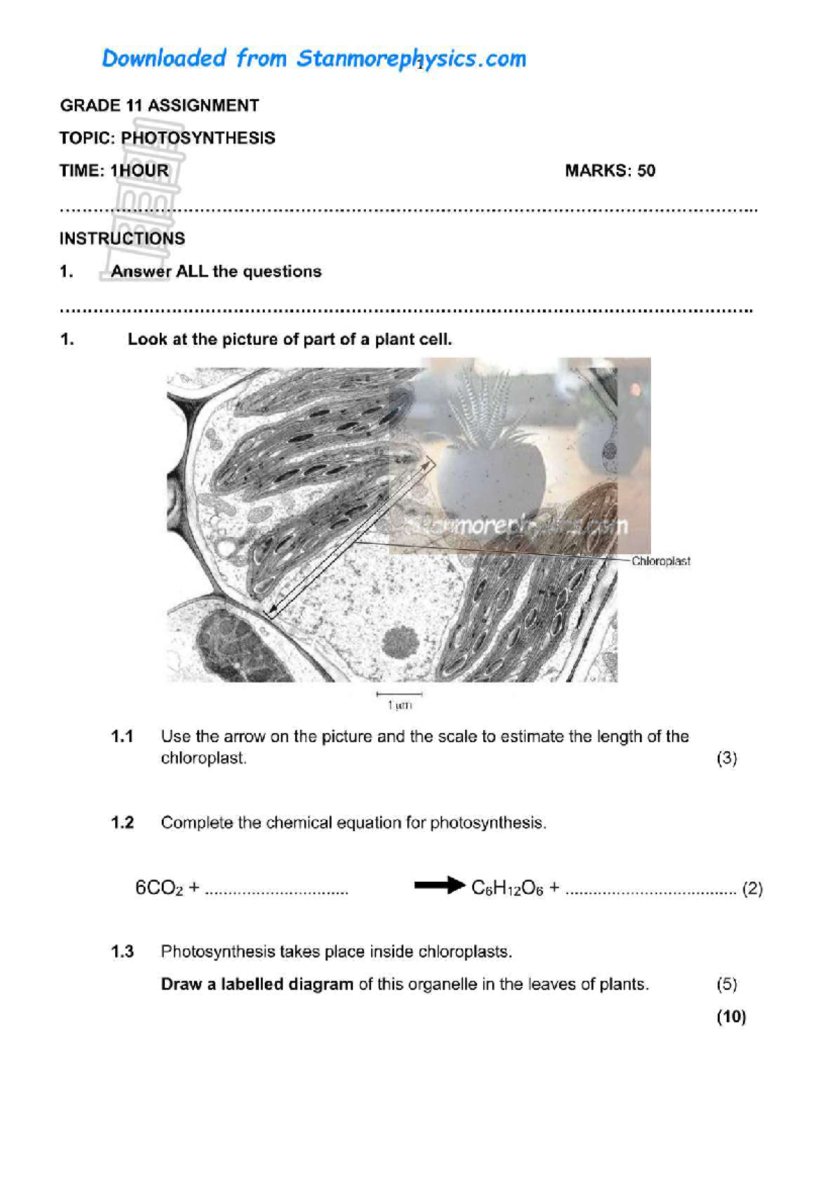 GRADE 11 ASSIGNMENT: PHOTOSYNTHESIS STUDY GUIDE (1 HOUR, 50 MARKS ...