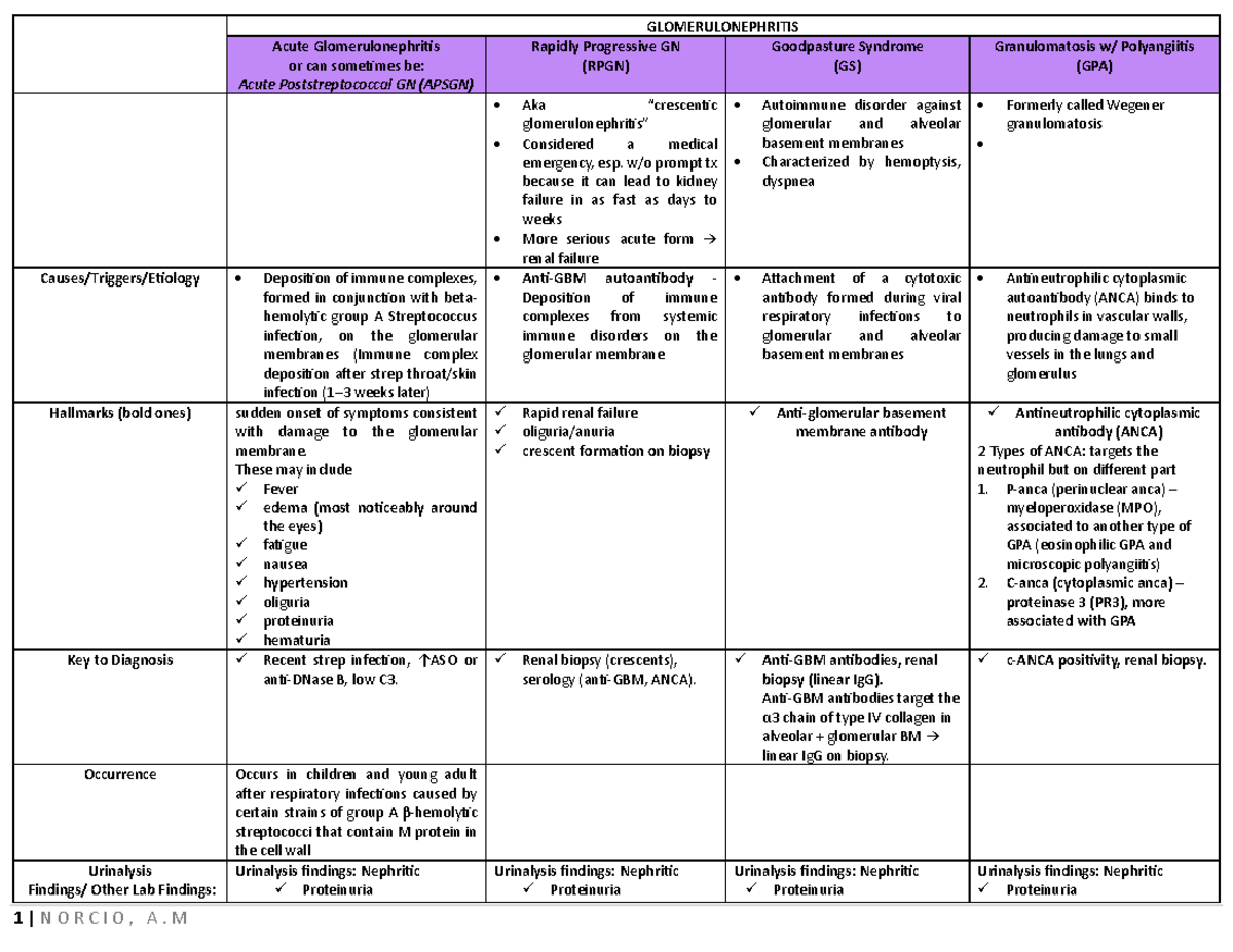GLOMERULONEPHRITIS Overview: RPGN, APSGN, and Key Diagnoses - Studocu