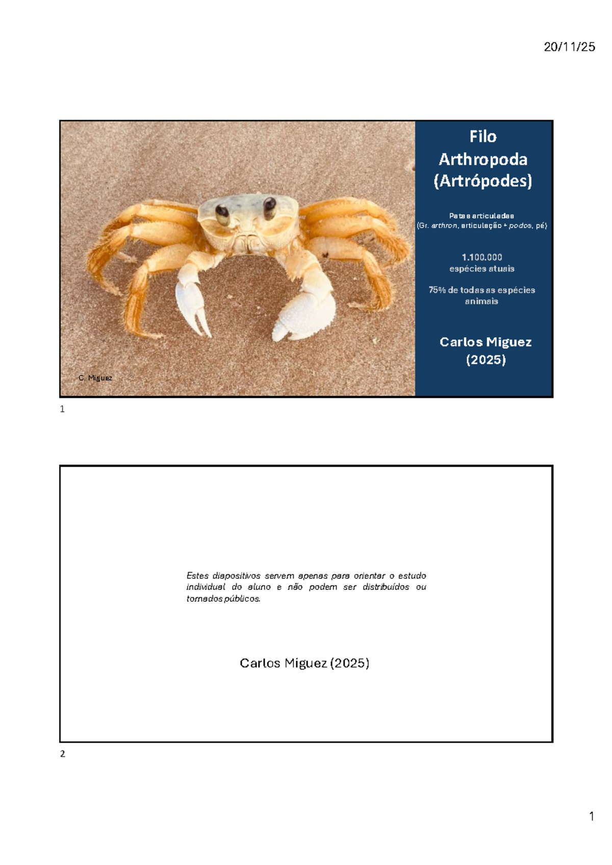 Filo Arthropoda: Características e Classificação dos Insetos (2025 ...